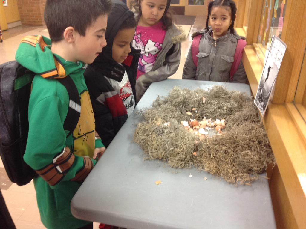 wrightreader's tweet photo. The egg has hatched!!!  It left footprints and appears to have escaped through Mrs. Cornwell's office window! http://t.co/7TW9cMIon9