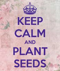 SEEDSCLC's tweet photo. KEEP CALM #plantaseed #SEEDSCLC http://t.co/HoqKH4af1O