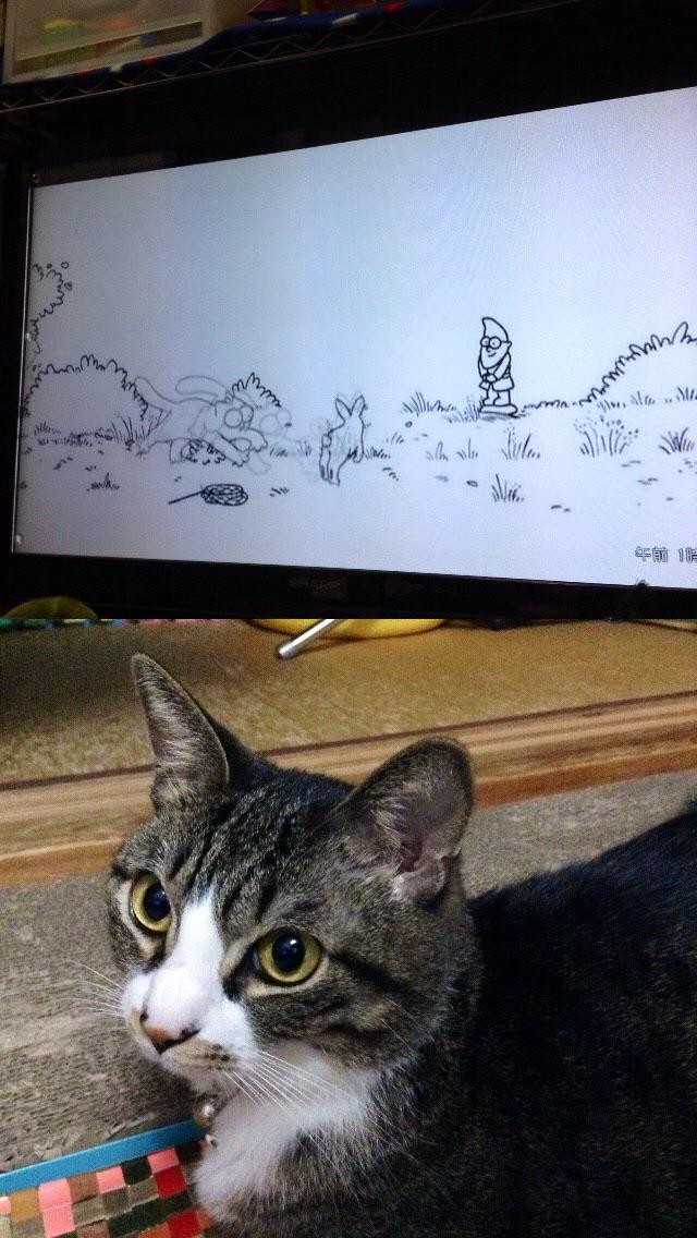 ebisen_ebi's tweet photo. Cat watching ”Simon's cat” LOL #JapanFrontback #menow #mycat #tokyoFrontback #tv http://t.co/R5u8uLwqrC #frontback http://t.co/gqhwEwGbEJ