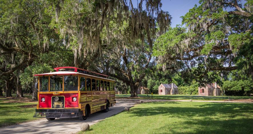 LowcountryLoop's tweet image. see you @Boone_Hall for the @LowcountryLoop Plantation Tour and Taste Special every Wednesday starting tomorrow