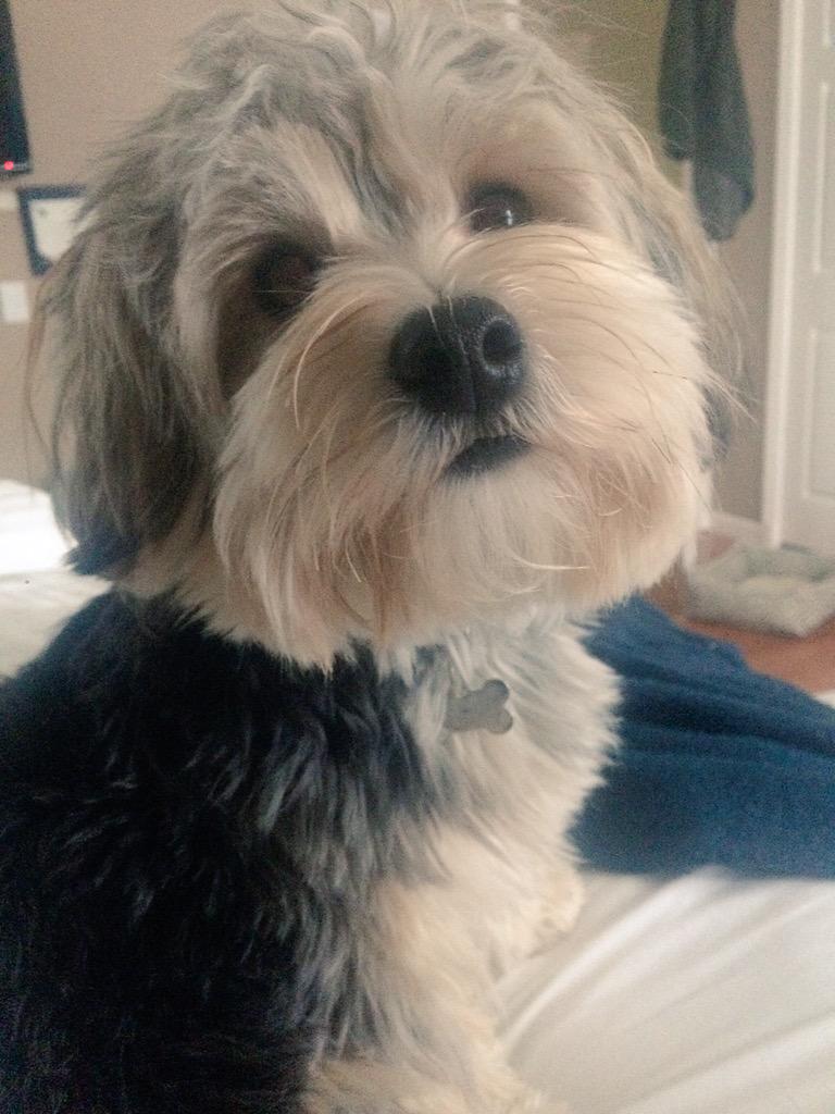 SLOANEandSteady's tweet photo. Why can't I be with this face right now http://t.co/3vR7lmXc50