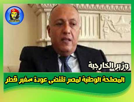 وزير الخارجية المصرى المصلحة الوطنية لمصر تقتضى عودة سفير قطر
