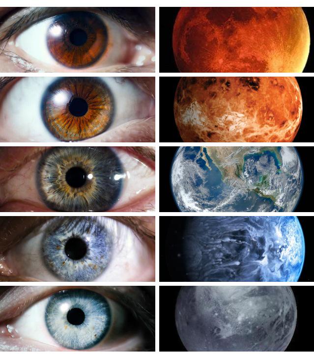 bodycompared's tweet image. 