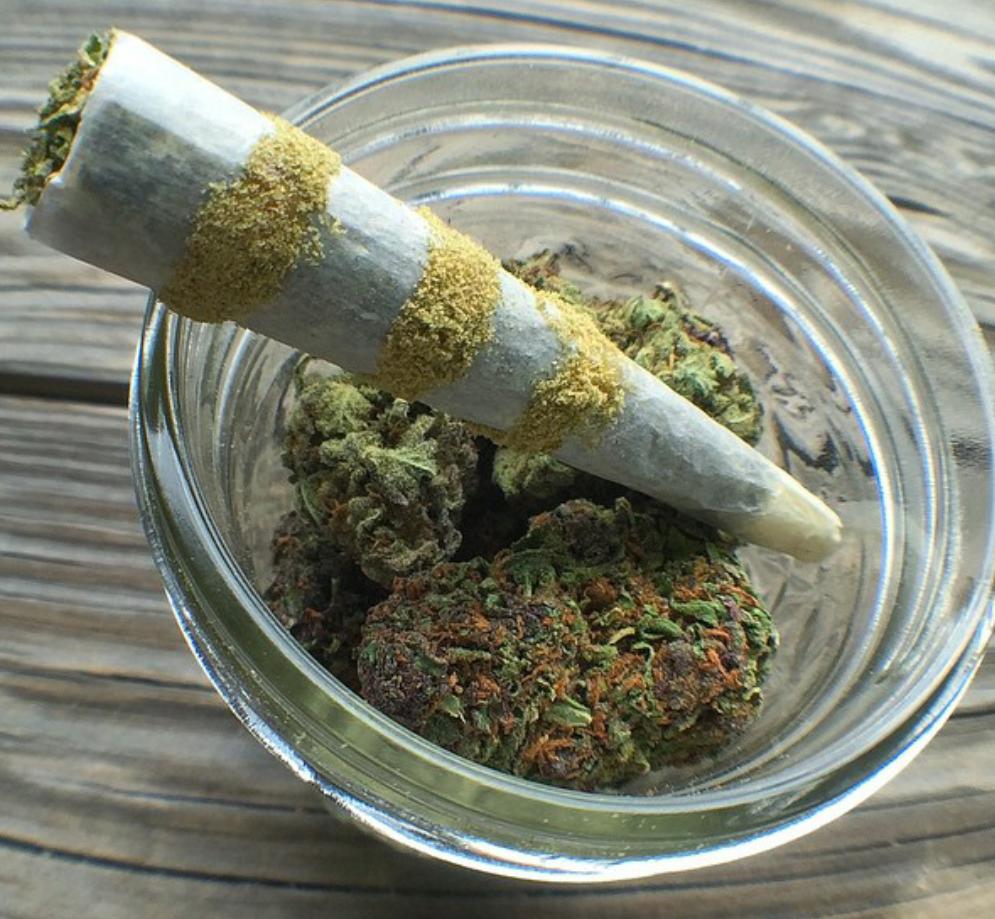 ThaWeedPage's tweet photo. Start your day the best way possible FUCKING HIGH.. http://t.co/ENYI2nj7gB