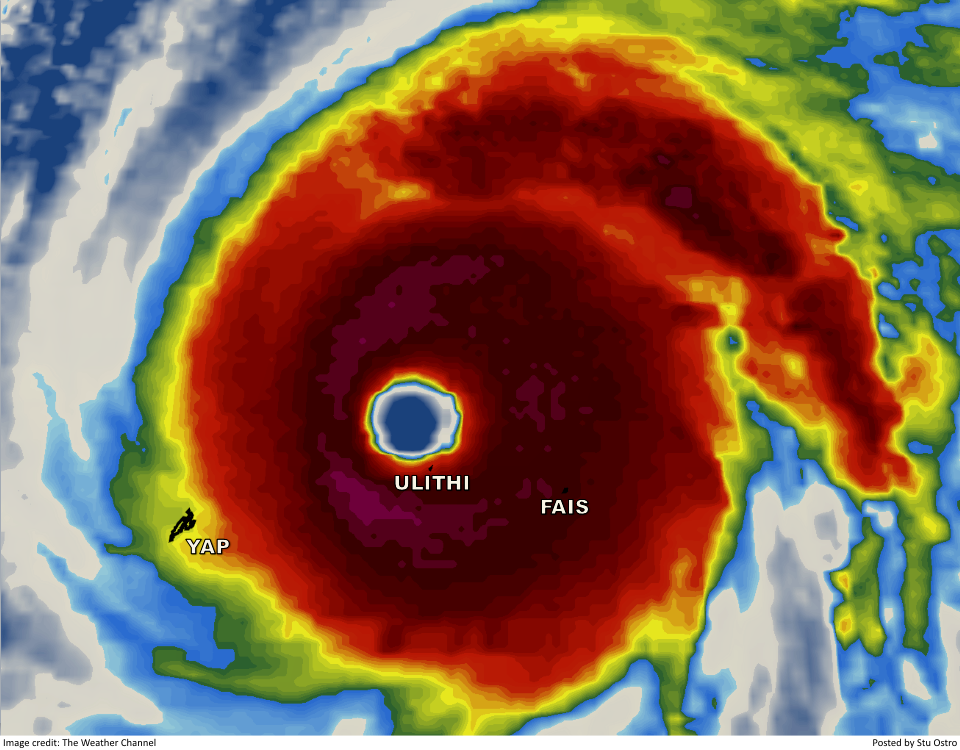 View image on Twitter