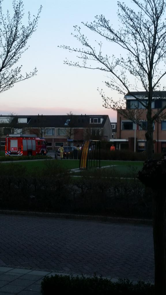 Robbinvs_'s tweet image. Storm schade cantatelaan @BarendrechtnuNL