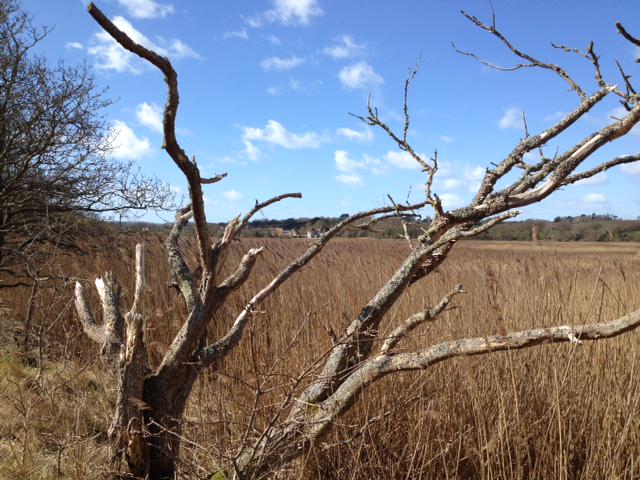 IOWInformation's tweet photo. A few photos from a windy walk in #Yarmouth with my girls #IOW http://t.co/KzFND9nlw1