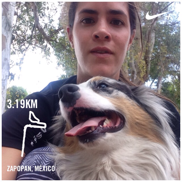 ConstanzaGGDA's tweet photo. Run with Pisto Acabo de correr 3.19 km con Nike+. http://t.co/GaFUuq9Seu #nikeplus http://t.co/E1VcDJ5MlN