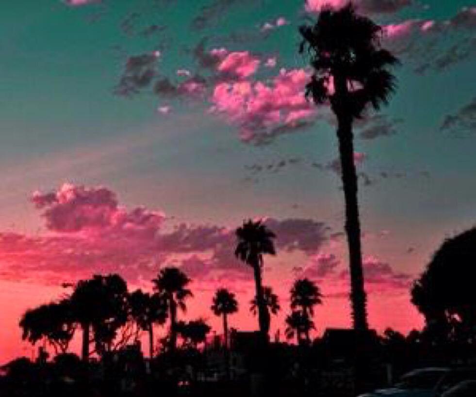 DopePIaces's tweet image. California has some of the best sunsets I swear 😍🌅🌴