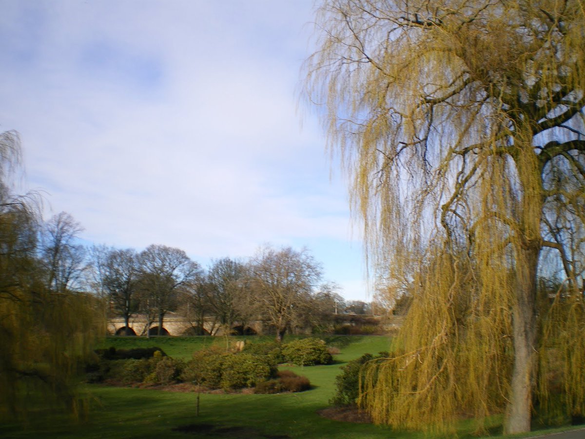 CapturingCarli1's tweet photo. Bitts Park landscape http://t.co/ZIjgGfiWwN