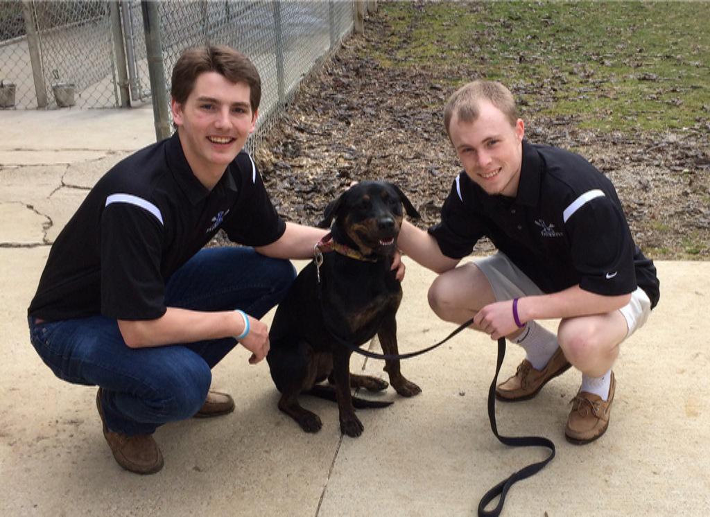 OLHSLAX's tweet photo. Some of the guys spending time at the Delaware Humane Society today! #givingback http://t.co/cA5lLa7mHU
