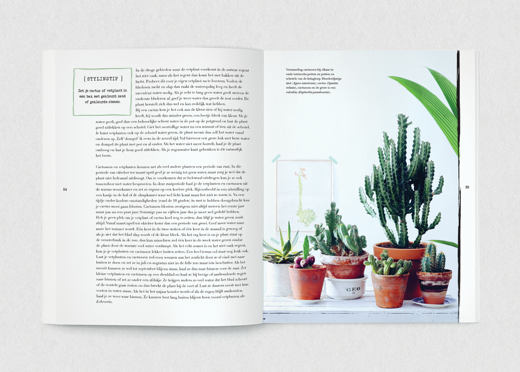 #hetPlantenlab van <a href="/HetGroenlab/">Judith Baehner</a> nu in de boekwinkel!
Planten, styling en zelfmaakideeën bit.ly/1CtymOQ