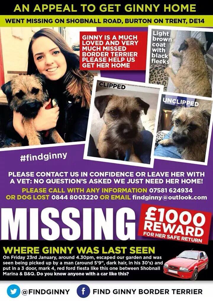 ScrappyN's tweet photo. #findginny @FindGinny PLEASE RETWEET - this may end up being seen by someone new who may know something. Please help. http://t.co/w73Za1sR9m