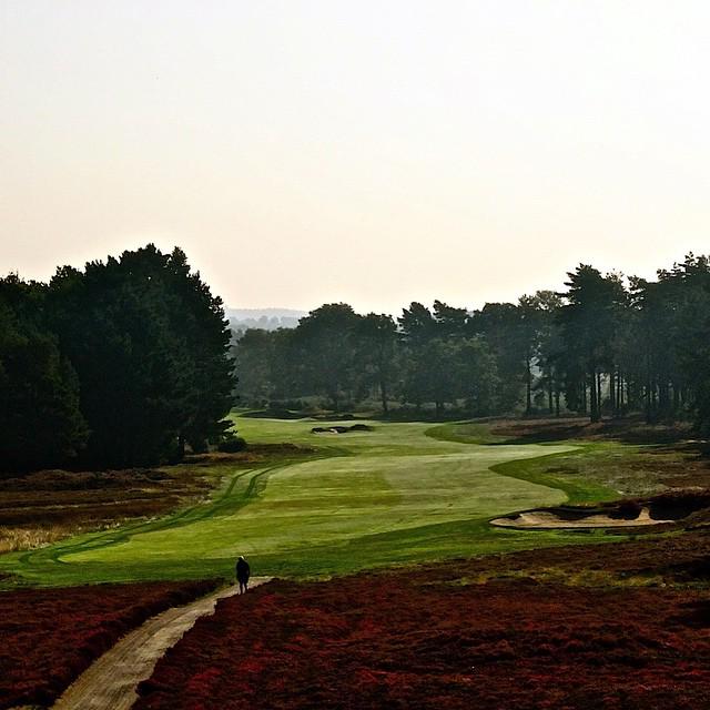 PGAAmateurGolf's tweet image. The month's best golf course photos on social media. #PGA365 go.pga.com/1xwhAQ4 #PGA365