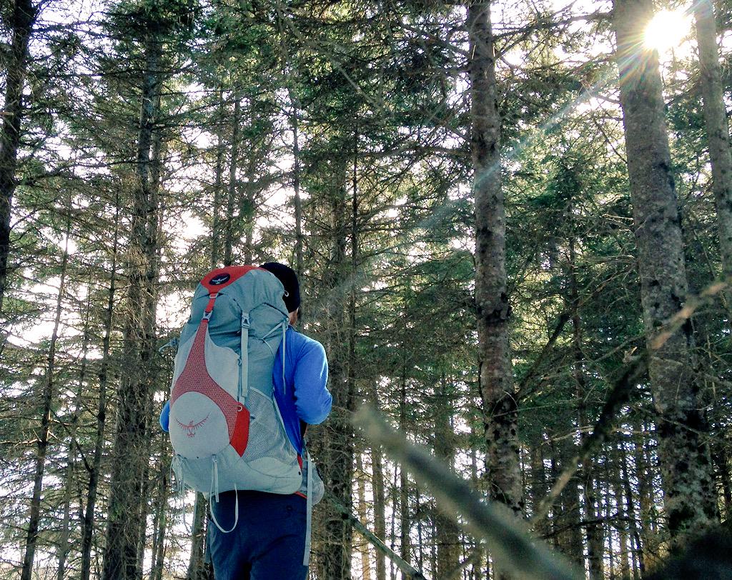 JordanLitefoot's tweet photo. Nice day on the trail. #pei #hikerchat #getoutside #hiking #trail @OspreyPacks #trekking #TheBestTime #keepmoving🏃 http://t.co/0ngfbMmxQV