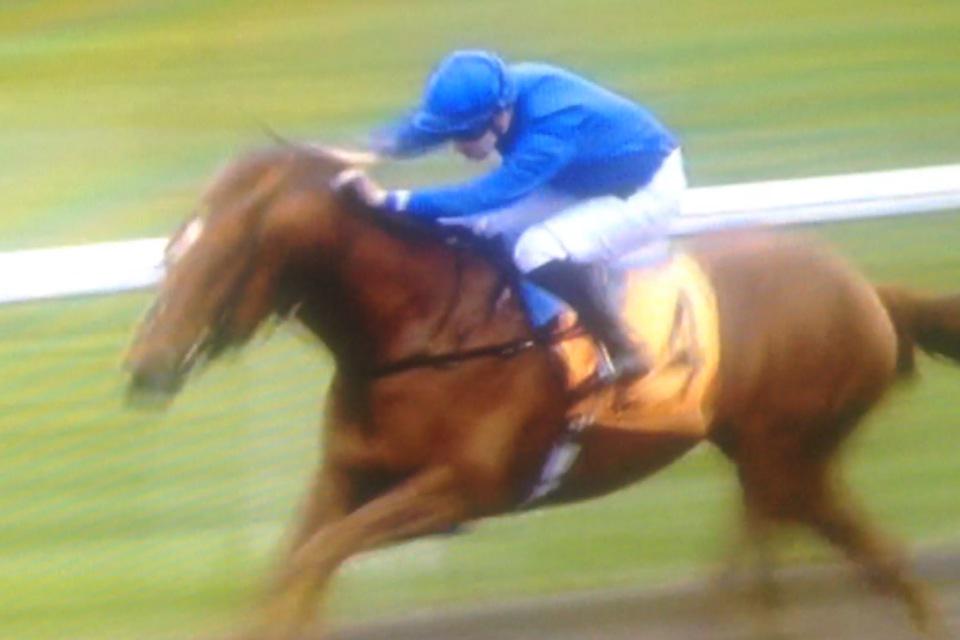 nickymackay's tweet photo. Delighted to have kicked off the season on such a smart horse #romsdal http://t.co/sIJCMz1wgC
