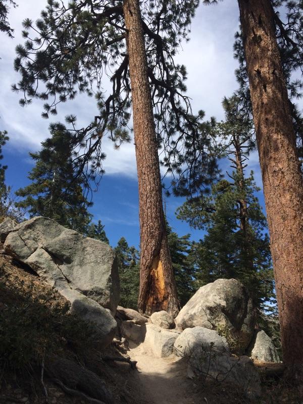 morrowchris's tweet photo. Beautiful hiking day #bigbear #ChevyCADouble @FoxSurf @chevrolet @DistrictDrive http://t.co/FCxgYNKauO