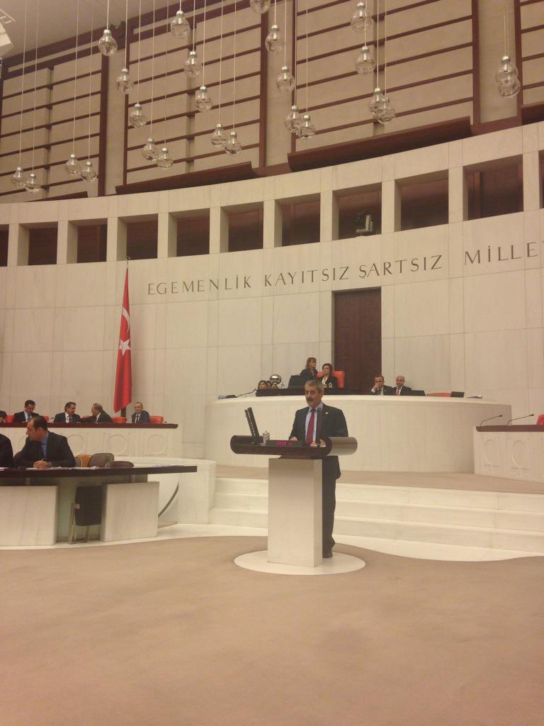 İskenderun teknik üniversitesi kuruluş kanunu üzerine konuşma yaparken...