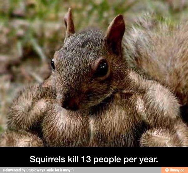 Daniel_Cho23's tweet photo. UH Squirrels kill 14, to get even with us http://t.co/5LBvFGGtuZ