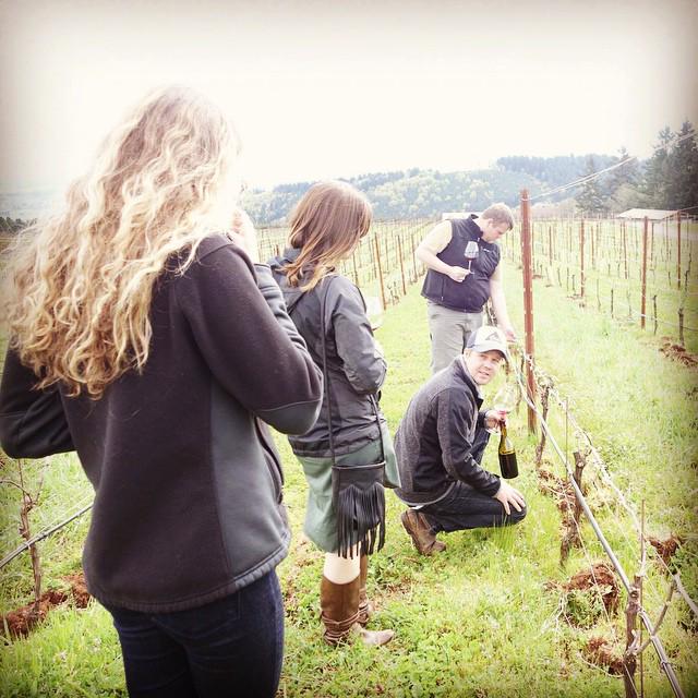 Ch24vineyards's tweet photo. #Budbreak is happening. #ORwine #willamettevalley #chapter24vineyards #pinotnoir #traveloregon http://t.co/QNDKWFfNbT