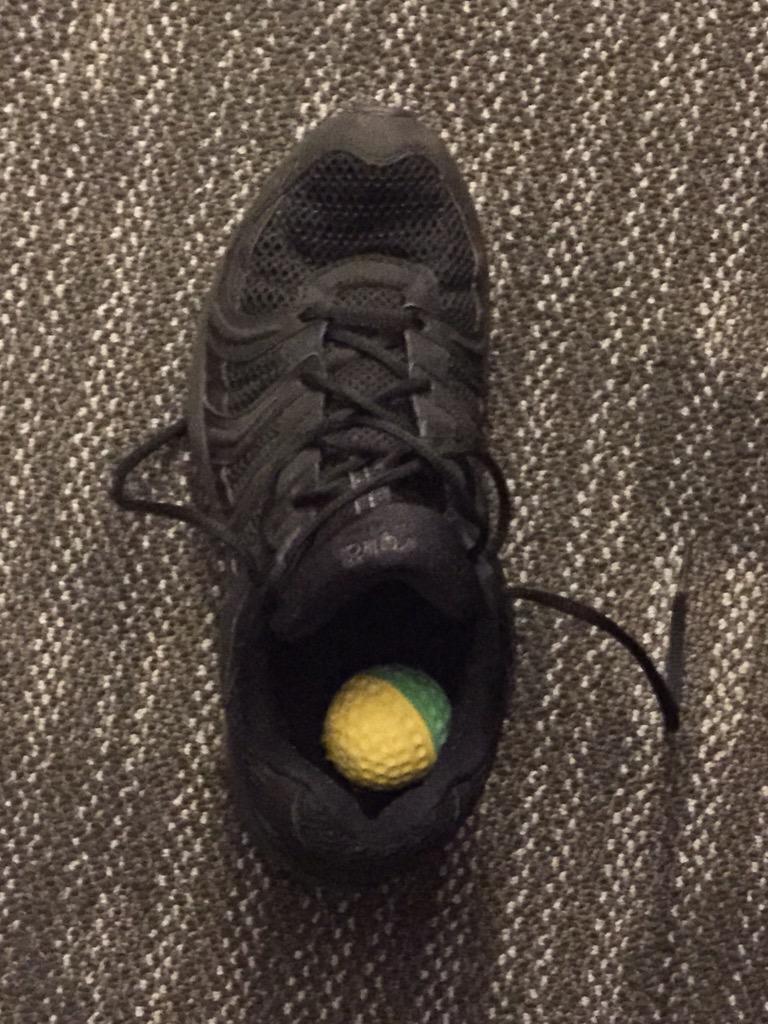 Moosie_cat's tweet photo. I'm traveling on business and went to put on my tennis shoes that I packed.  Love my Moosie http://t.co/WwjLR8oqT2