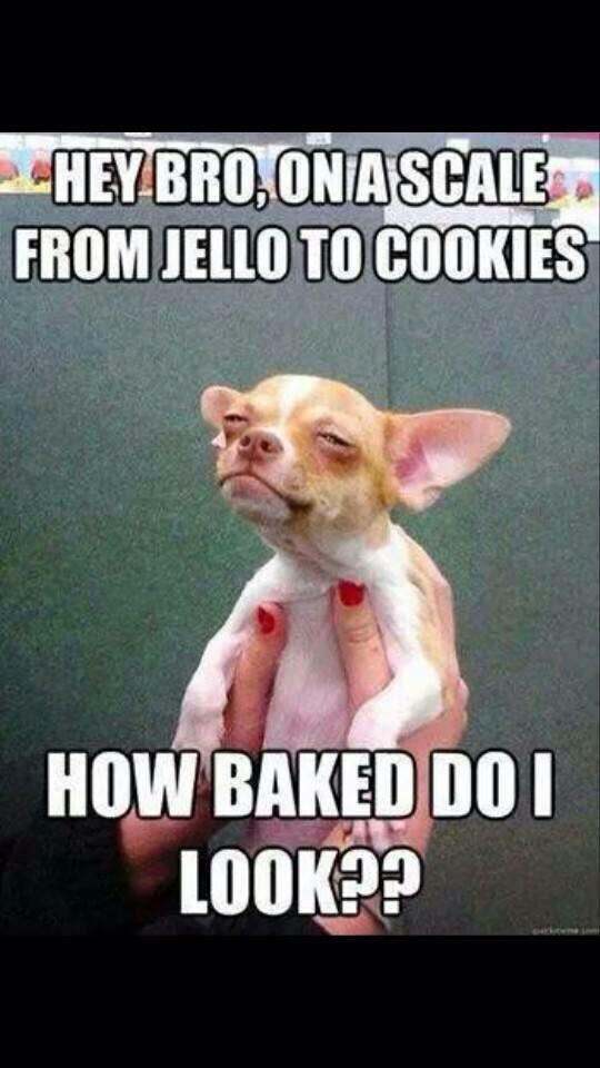 EDMbetch's tweet image. Lolllll