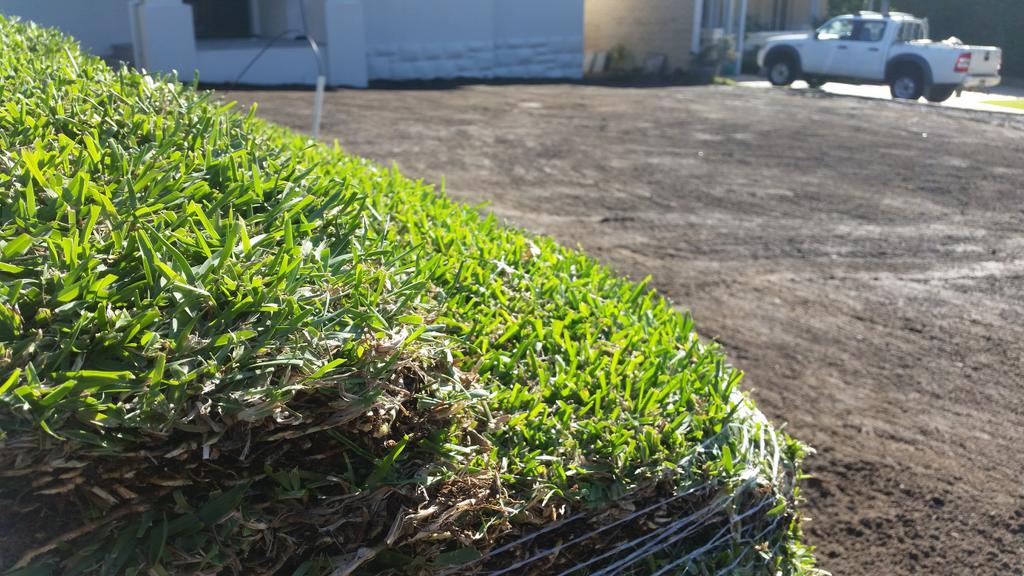 IOLandscapes's tweet image. Some more quality #SirWalter from @SuperiorLawnsAU about to go down in Dalkeith. #landscaping #perth #buffalosoldiers