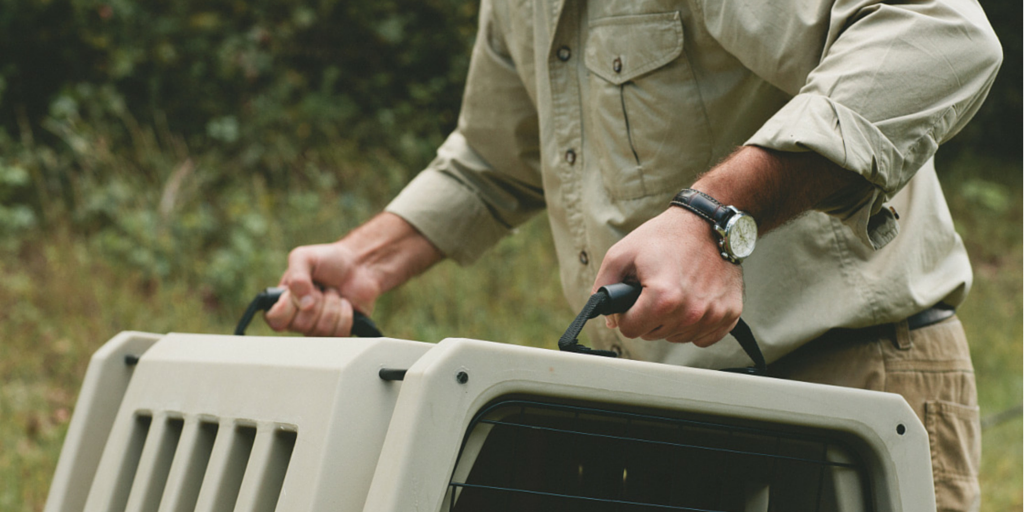 Gunner_Kennels's tweet photo. Loadin' up with kayak-grade handles #GunnerKennels #DesignedforEverywhere http://t.co/NQ7dOrPtYG