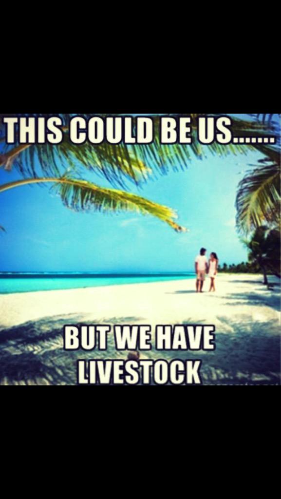 Confessionsfarm's tweet photo. #farmlifeprobs http://t.co/sewf5M1B2H