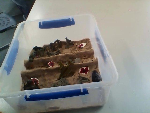 room162015's tweet photo. A1: This is what i did for my home work for ANZAC day!! It is made out of Cone-tic sand.
#PBEH http://t.co/Y7zESvz2CC