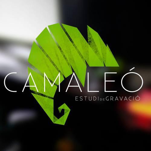 Treballem colze a colze amb l'equipàs de <a href="/CamaleoEstudi/">Camaleó Estudi</a>! Uns cracks! 🔝🔝🔝