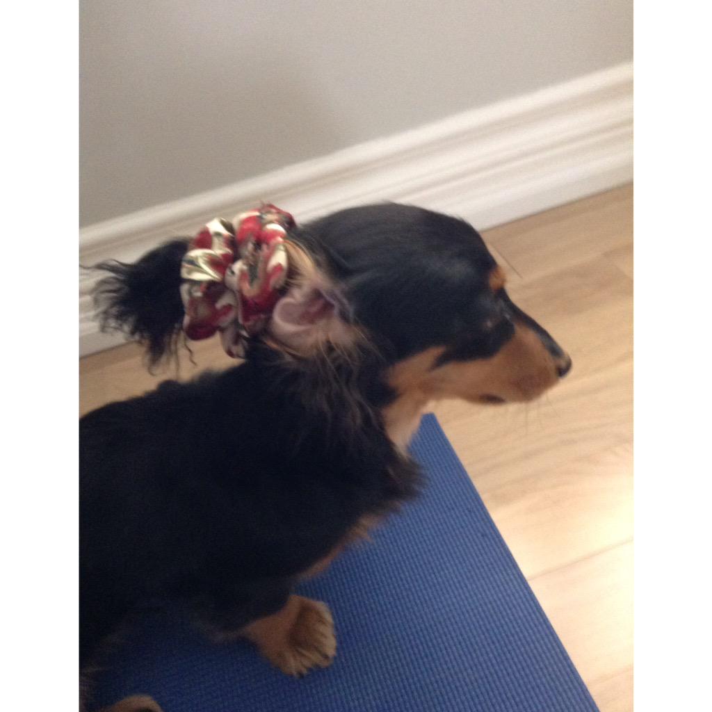 Judging u if u don't have a weiner bun