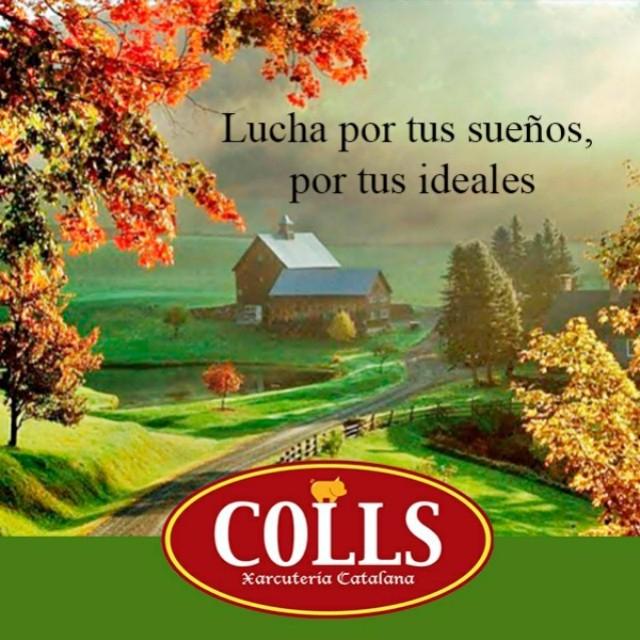 Lucha por tus sueños, por tus ideales… buenas tardes #buenastardes #colls #panama #embutidos #felizdia