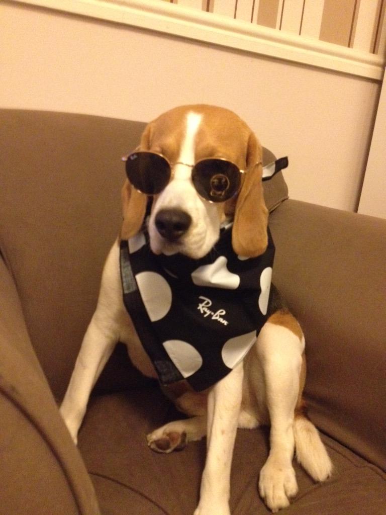 magdabrown2011's tweet photo. #NoSquares, Oliver knows it, do you? http://t.co/UyxUfAKhdG