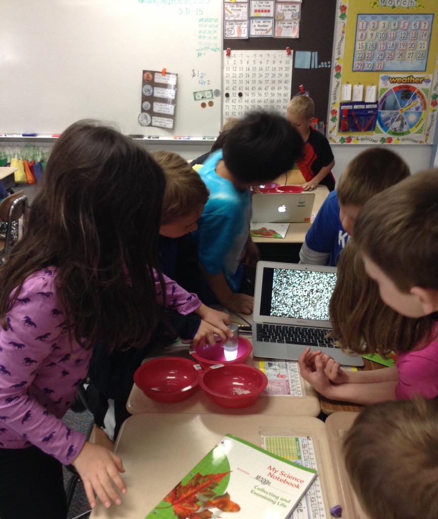 mrslaurenglaser's tweet image. Our 1st graders love using @bodelinproscope proscopes to study mystery substances during science! @mrsheathercoyle