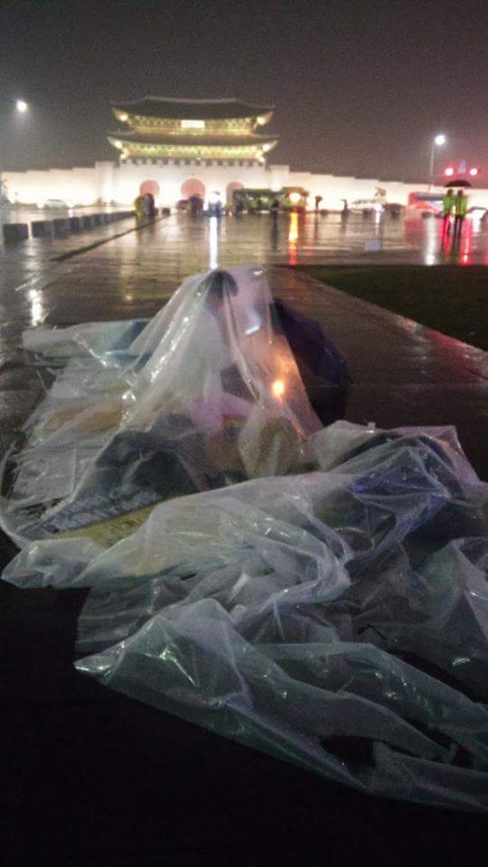 어제밤
광화문 ....
세월호 유가족님들은 빗속에서 한장의 비닐막에 의지한체 밤을 세웠답니다.
가슴에 응어리진 한을 어떻게 풀어드려야 할지..ㅠ,.ㅠ
(사진 광화문 지킴이 최창덕님)