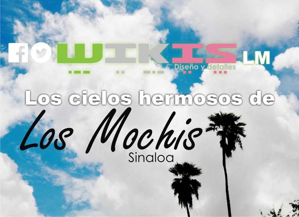 WikisLM's tweet photo. Estas #palmeras son escencia de #LosMochis y se ven geniales, sobre todo en el #ocaso http://t.co/fgD8di20wE