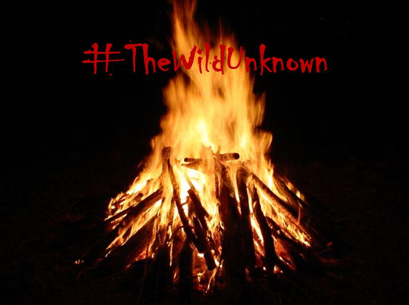IslandBarGames's tweet photo. #firstpersonexperience #somethingwild http://t.co/z9JWEv2ION