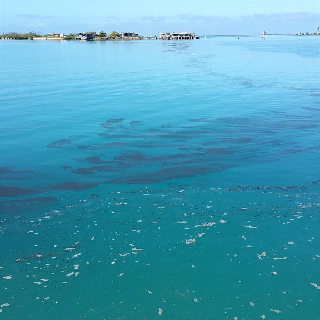 808danngo702's tweet photo. Got to prevent this oil pollution http://t.co/HaiNo0nSjt