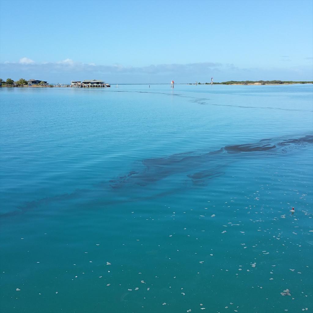 808danngo702's tweet photo. Got to prevent this oil pollution http://t.co/HaiNo0nSjt