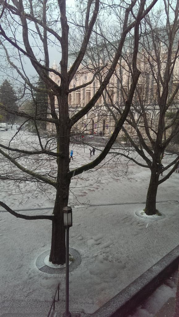 wispit11's tweet photo. Crazy lightening and hail in @uw #RedSquare.... Or should I say "White Square"? #Seattle #Seattlehail #ohhailno http://t.co/3x9cRQgdWz