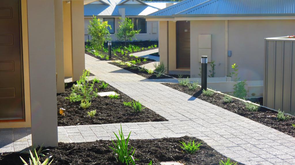 IOLandscapes's tweet image. Another Unit Development site, this one for @VenturaiD , finished with Australian Natives. #perth #landscaping