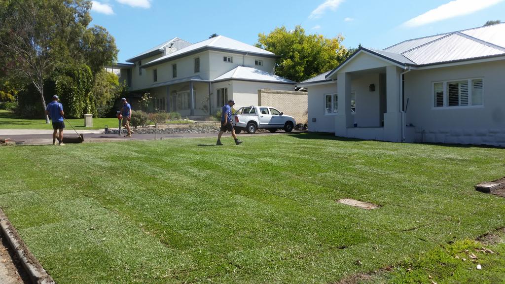 IOLandscapes's tweet image. And it's down! It's a beautiful thing! #SirWalter #perth #landscaping