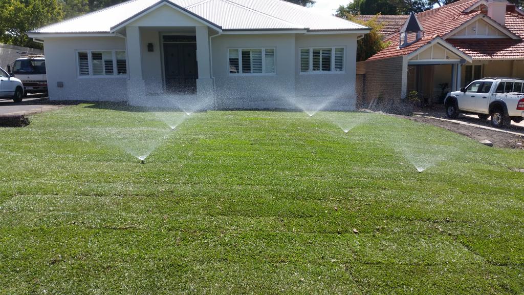 IOLandscapes's tweet image. And it's down! It's a beautiful thing! #SirWalter #perth #landscaping