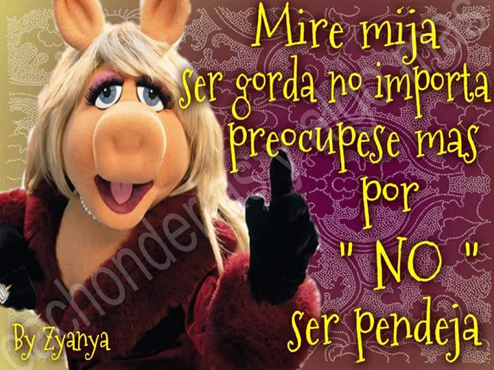 RE_RUDOLF's tweet photo. Más vale gorda!!! http://t.co/rcuszekNZ1