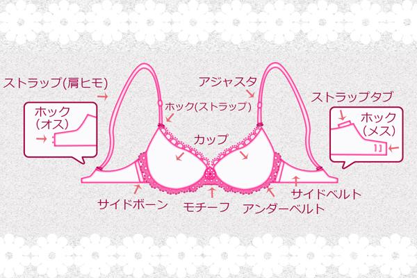 ブラジャーの種類 Gladdファッション ライフスタイルブログ