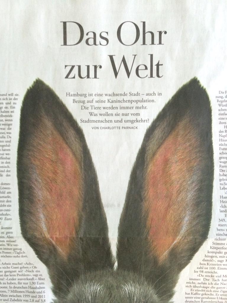 ZEIT Hamburg (@zeit_hh) on Twitter photo Zu süß: <a href="/Lotteparnack/">Charlotte Parnack</a> erklärt in der neuen <a href="/ZEIT_HH/">ZEIT Hamburg</a> das Problem, warum Kaninchen Hamburg lieben - und andersherum Zu süß: <a href="/Lotteparnack/">Charlotte Parnack</a> erklärt in der neuen <a href="/ZEIT_HH/">ZEIT Hamburg</a> das Problem, warum Kaninchen Hamburg lieben - und andersherum