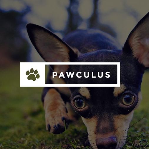 WeAreCramer's tweet image. We're pawsitively excited about this #productlaunch - go.cramer.com/19EVQ9r