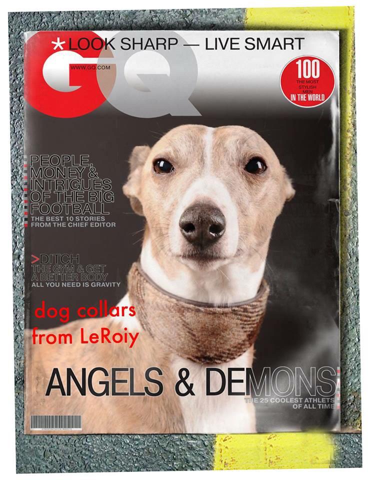 LeRoiy_de's tweet photo. LeRoiy goes US - DogCollars and more! http://t.co/IoEqXRGIBV #dogs #hunde #hundeliebe http://t.co/8rJfVvS22I
