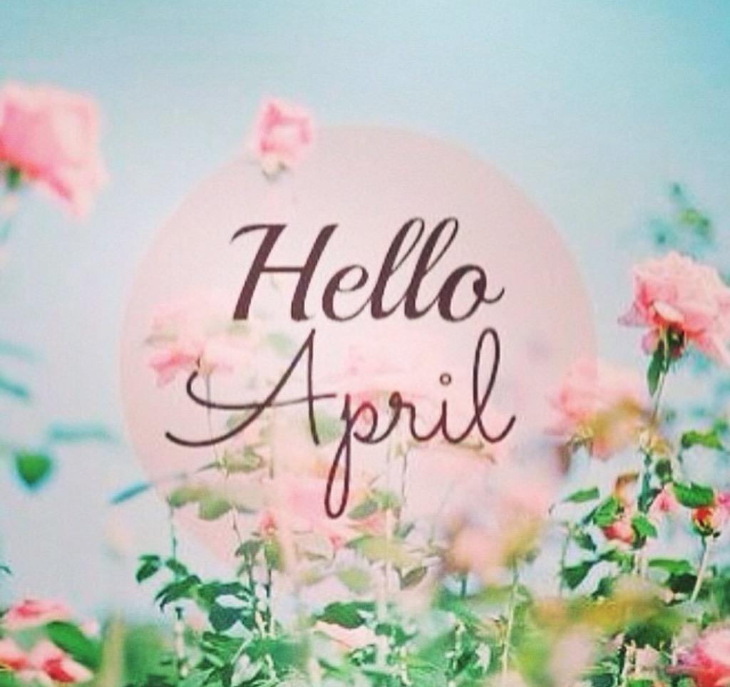 MiniMocks's tweet image. 👋👋 April 🔆 let the sunshine #new #mocks #MiniMocksUK #kids #footwear #shoes #rubber #eva #summer #fun #blogger #style